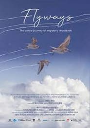 Flyways